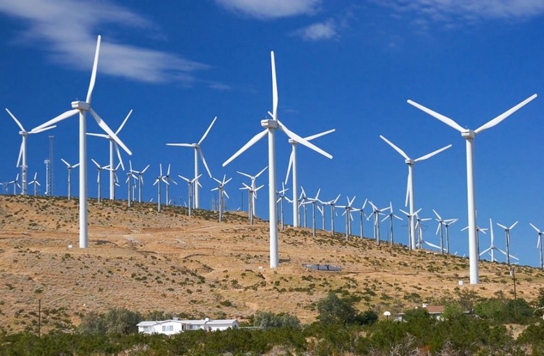 Les parcs éoliens peuvent faire beaucoup plus de tort à l'environnement que les hydrocarbures brûlés.