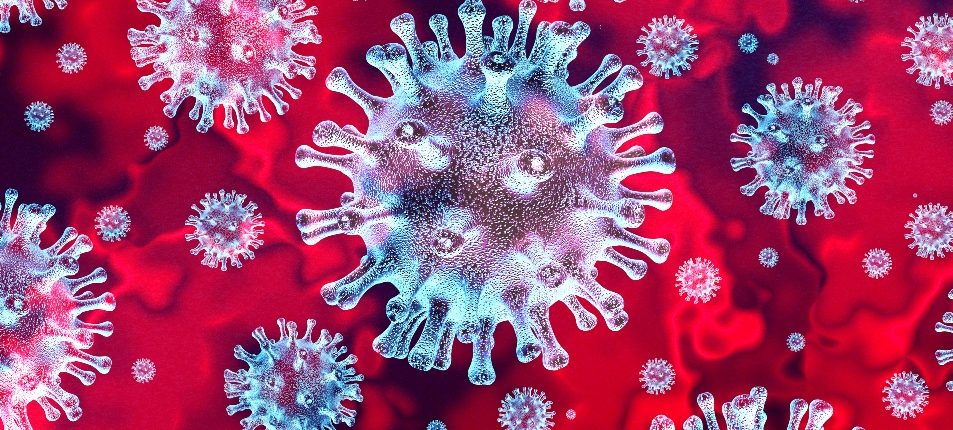 L'OMS donne le nom officiel au nouveau coronavirus 