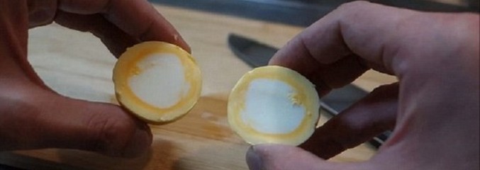 L'œuf
