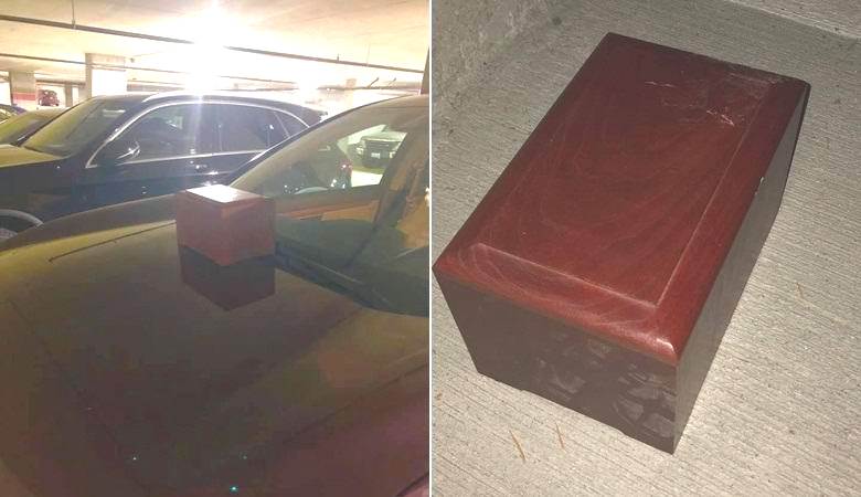 La femme a trouvé une mystérieuse boîte dans sa voiture